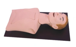 Bronchoscopy training model LV44
