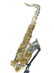 Tenor saxophone Dotsenko & Co. DTS-803SG