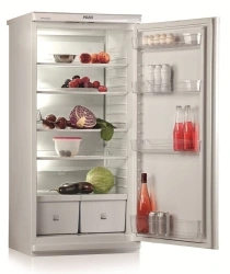 Household refrigerator "POZIS- Sviyaga-513-5"