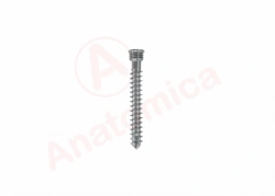Cylindrical threaded cortical screw