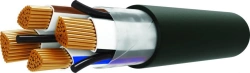 Power cable for voltage 0, 66; 1kV of mark VVGng(A)