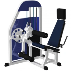Seated leg flexion-extension (weight block)