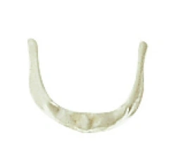 Enlarged model of hyoid bone, 11122