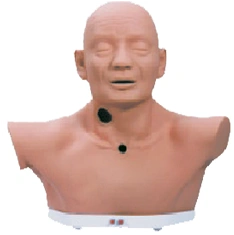 Model for tracheotomy, 70