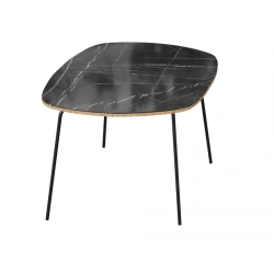 Coffee table LD.451170.000 Type 2 high