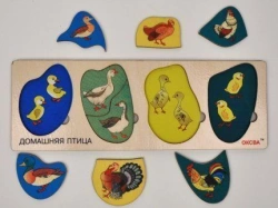 Playing board "Domestic Bird"