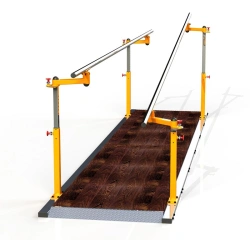 Rehabilitation bars