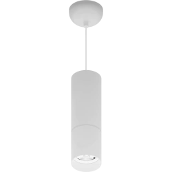 LED luminaire ARMA/P (300) 20W