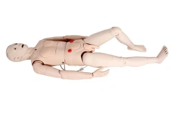 Multifunctional mannequin, NS6001 / 2000