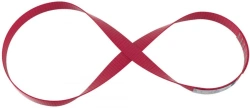 Anchoring device type B: anchoring loop (with a maximum of 3 simultaneous users), model