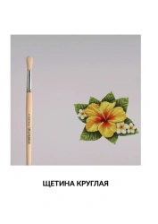 Painted round pig bristle brush