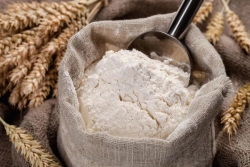 2nd grade wheat flour