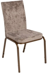 Metal frame chair Congress 20mm