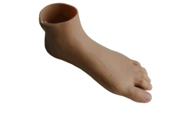 Combined prosthesis of the foot PN0-OR