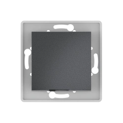 CADUCEUS ALING PRESTIGE 10AX, 250V~, graphite, article no. 60052.2, flush-mounted switch, single-lever 10AX, 250V~, article 6005