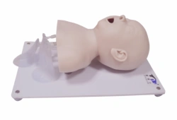 Improved paediatric endotracheal intubation model, FA6247
