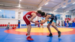 Wrestling mat for freestyle and Greco-Roman wrestling