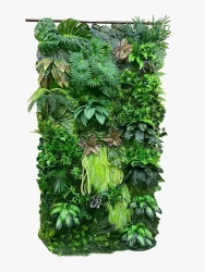 Panorama Artificial greenery