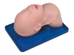 Infant model for tracheal intubation, 3A