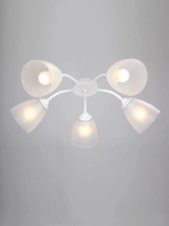 General purpose fixed luminaire V3750/5PL