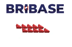BB.VS.100.60.010 Set of 10 Mini Grip plugs BriBase