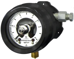 Signalling pressure gauges ??5012???? with explosion protection marking 1?? db IIB T5 Gb