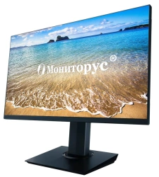 LCD monitor MONITORUS 2411/DVI CD2411