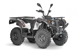 Quadricycle of the brand BALTMOTORS type BM700 modification BM400 NEO EFI