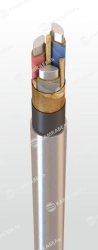 Power cable with aluminium conductors with paper insulation impregnated with non-flowing composition for voltage 6, 10 kV of TsA