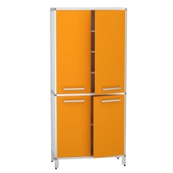 Cabinet for storage of medicines according to TU 32.50.30-007-32924160-2021, article number DM-2-101-14.K2.F2.?2