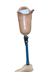Hip prosthesis for bathing