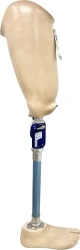 Bathing hip prosthesis, PN6-77K