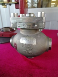 Check valves
