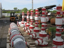 AF type wellhead fittings