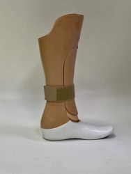 Prosthetic foot PN0-T