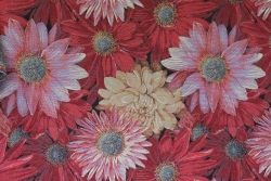 Fabric August art.649200