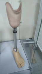 Tibial prosthesis for bathing
