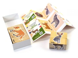 Folding cubes with story pictures DIKE ANIMALS