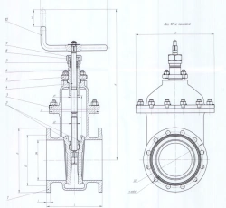 Cast iron wedge gate valve DN 100 PN 1,6 MPa IYUKL.491625.003