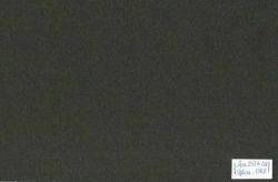 Overcoat cloth, article 2534