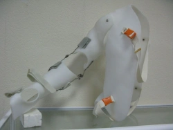 Full arm apparatus