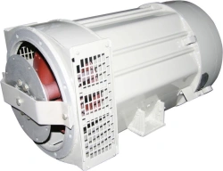 Brushless synchronous generator (1)GS2-10 U2(T2)