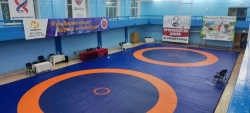 OLYMP wrestling mat