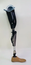 Modular hip prosthesis with microprocessor control PN6-T