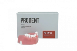 Dental model of the maxilla for implantological training and sinus lift PD-HV SL