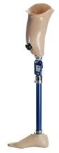 Bathing hip prosthesis, PN6-OB-K