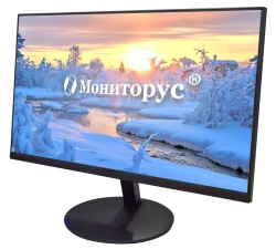 LCD monitor MONITORUS 2111/DVI CD2111