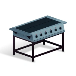 Electric cooker model EP-6P
