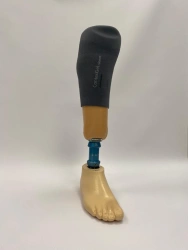 Tibial prosthesis for bathing