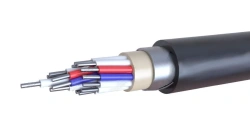 Control cable AKPBBPng(A)-HF